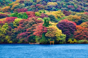 hakone